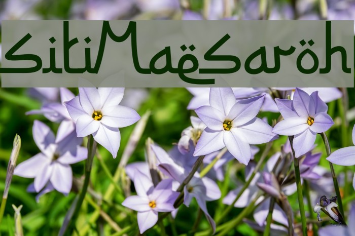 SitiMaesaroh Font examples