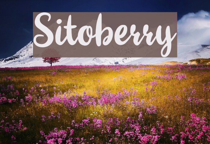 Sitoberry Fonte examples