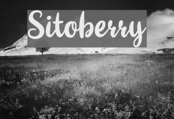 Sitoberry Font examples