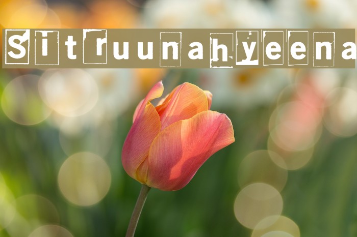 Sitruunahyeena Example 3