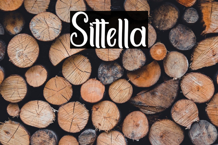Sittella Example 1