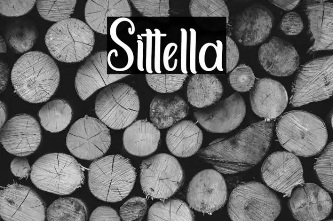 Sittella Font examples