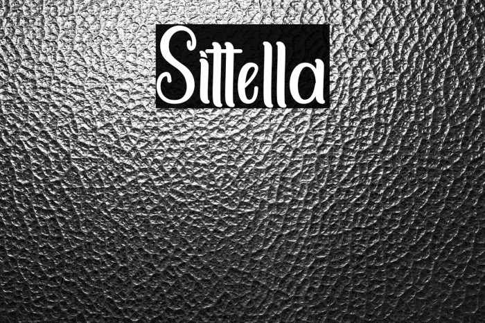 Sittella Example 3