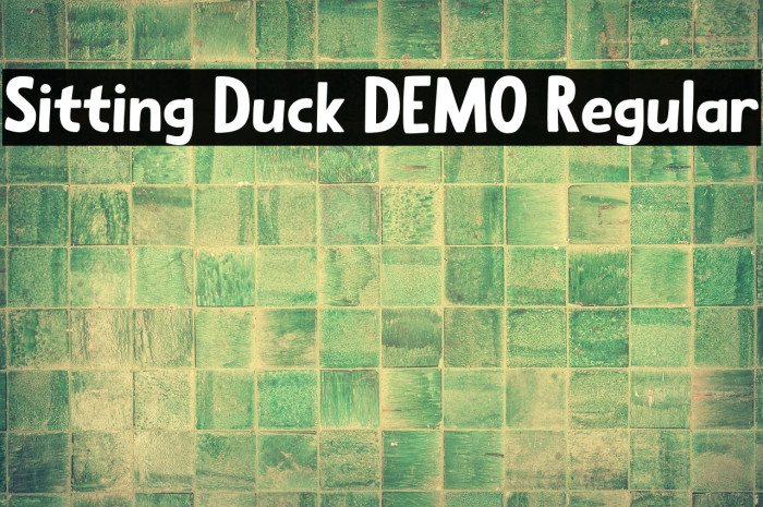 Sitting Duck DEMO Regular Example 1