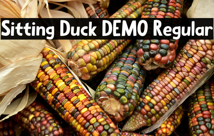 Sitting Duck DEMO Regular Example 2