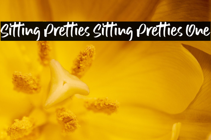 Sitting Pretties Sitting Pretties One Example 2