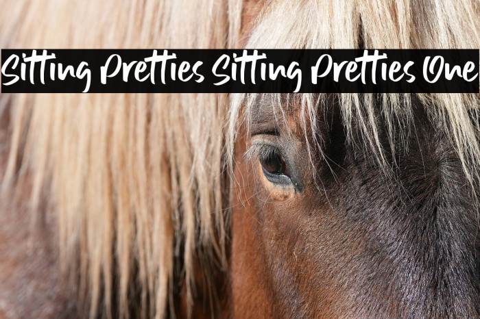 Sitting Pretties Sitting Pretties One Example 3