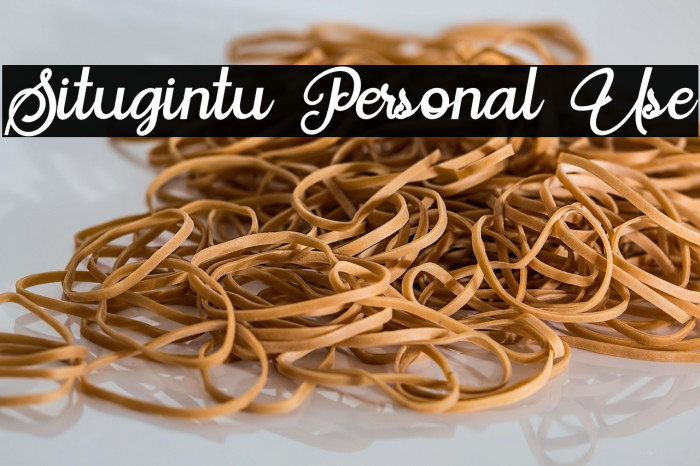 Situgintu Personal Use Example 1