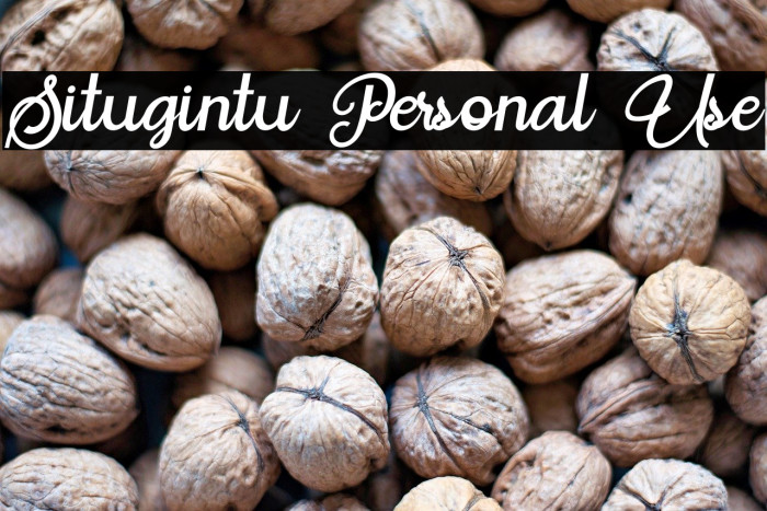 Situgintu Personal Use Example 2