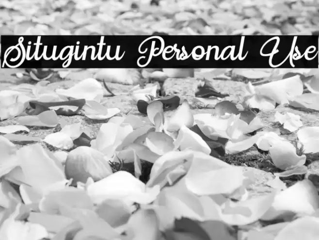 Situgintu Personal Use Schriftart examples