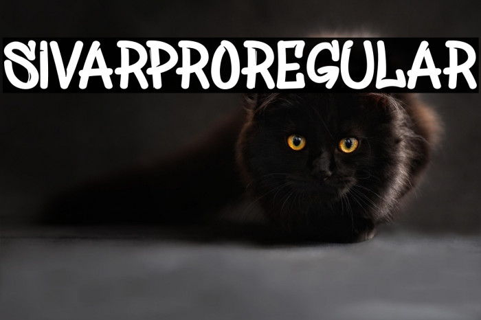SivarProRegular Example 1