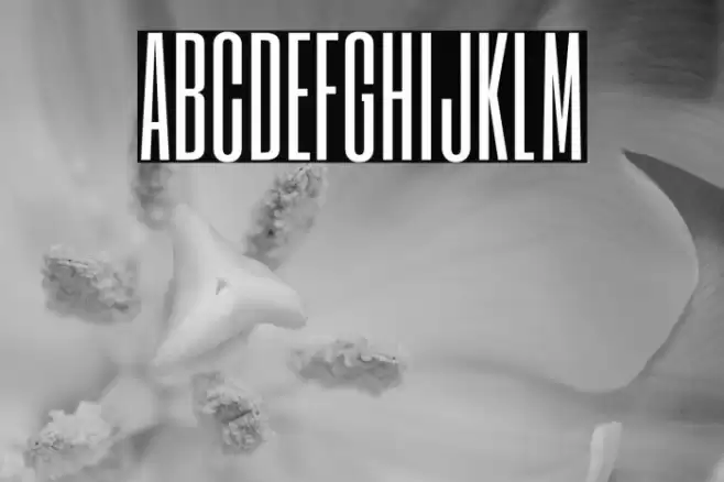 Six Caps Font examples