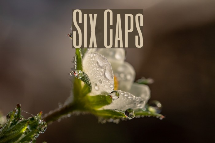 Six Caps Font examples