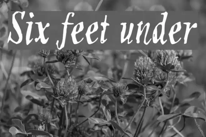 Six feet under Font examples