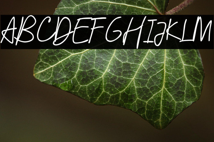 SixThousand Example 1