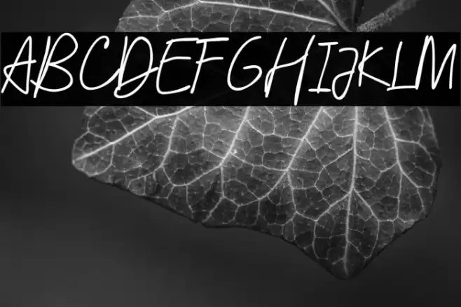 SixThousand Font examples