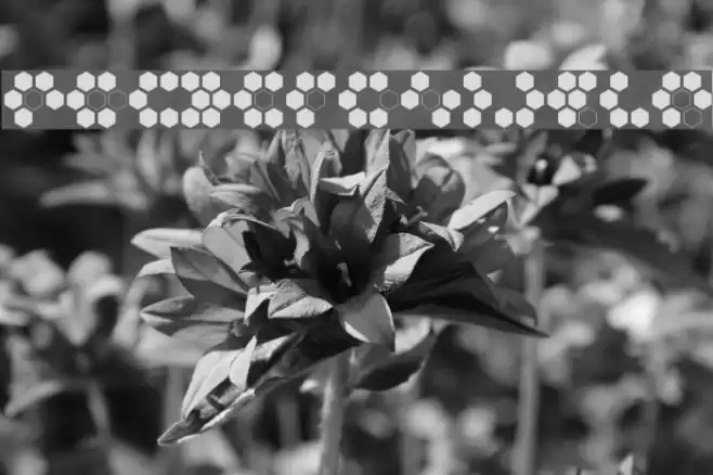 Sixgun Шрифта examples