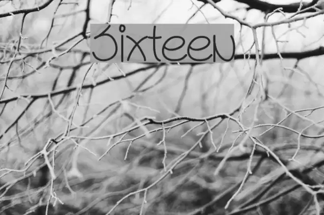 Sixteen Font examples