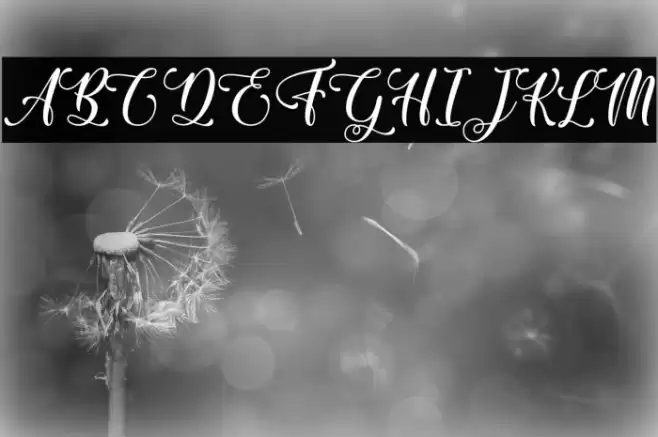 Sixth Babylon - Personal Use Fuentes examples