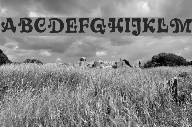 Sixties MF Polices examples