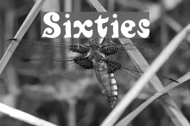 Sixties خط examples
