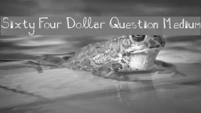 Sixty Four Dollar Question Medium Font examples