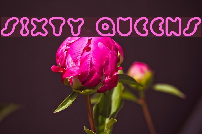 Sixty Queens Font examples