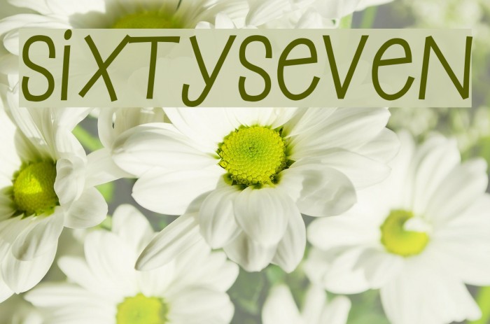 SixtySeven Example 1