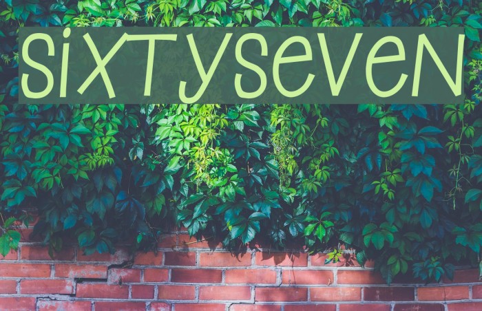 SixtySeven Example 3