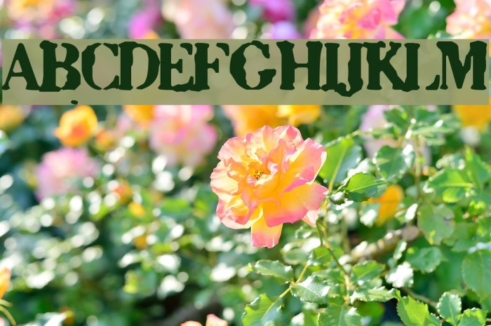 Sixty Font examples