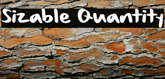 Sizable Quantity Example 3