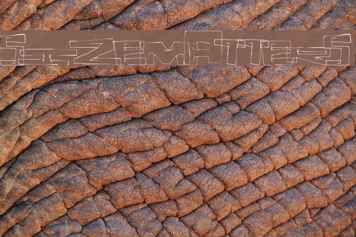 SizeMatters Font examples