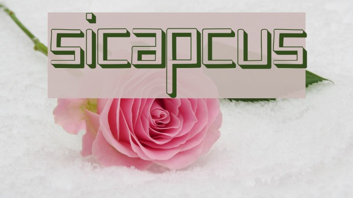 sicapcus Font examples