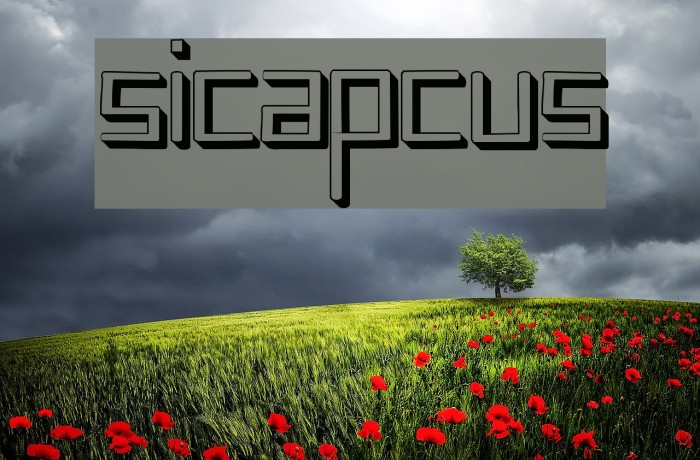 sicapcus Font examples