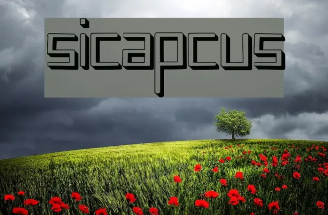 sicapcus Example 2