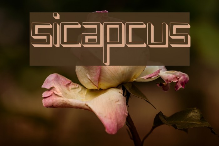 sicapcus Font examples