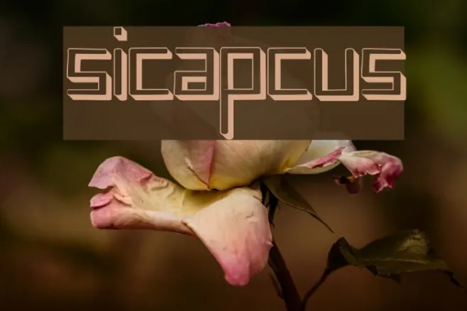 sicapcus Example 3