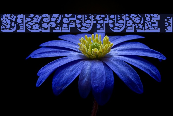 sickfuture 1 Font examples