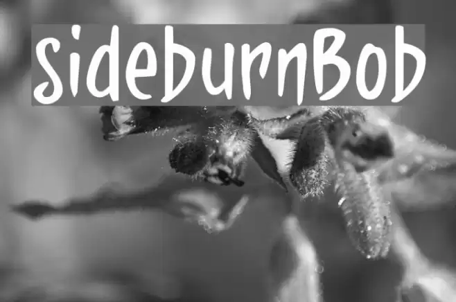 sideburnBob Font examples