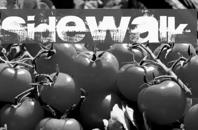 sidewalk Font examples