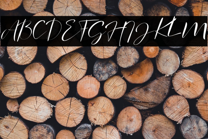 signature Photopedia Example 1