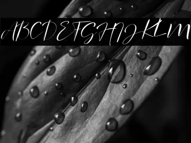 signature Photopedia Font examples