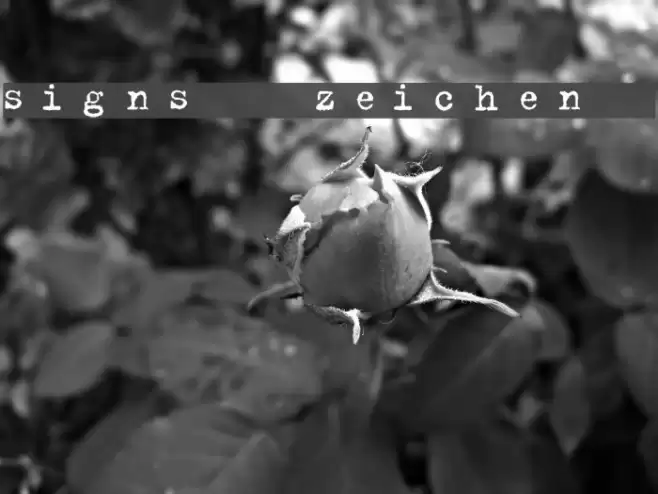 signs - zeichen 2.0 Font examples