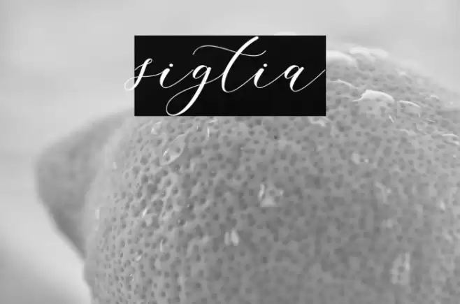 sigtia Font examples