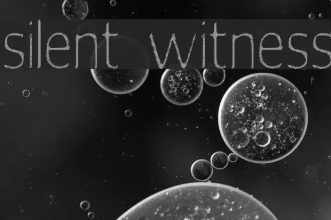 silent witness Font examples