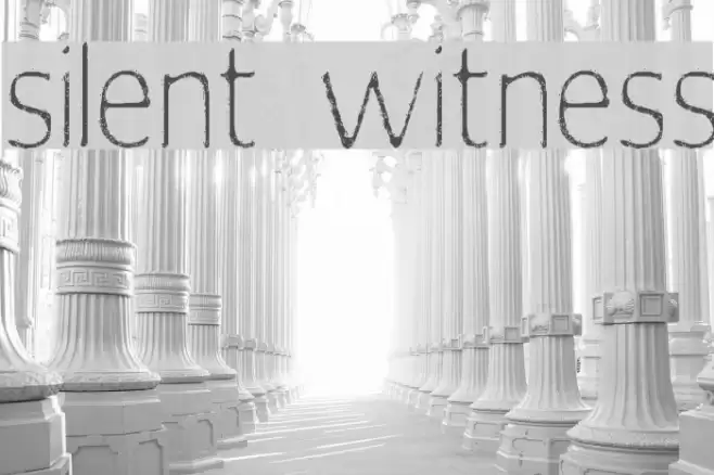 silent witness Font examples