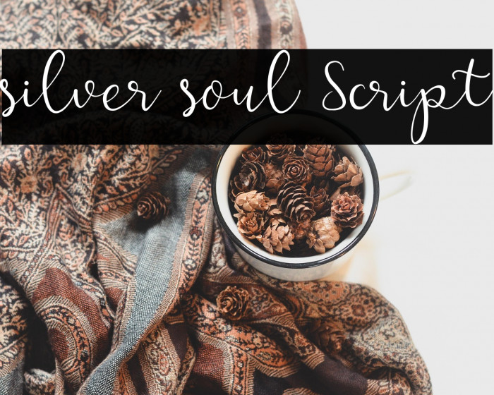 silver soul Script Example 3