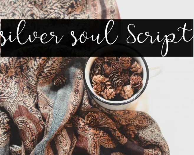 silver soul Script Example 3