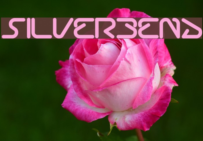 silverbend Example 2