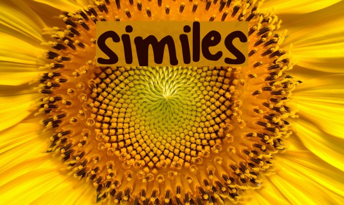 similes Font examples